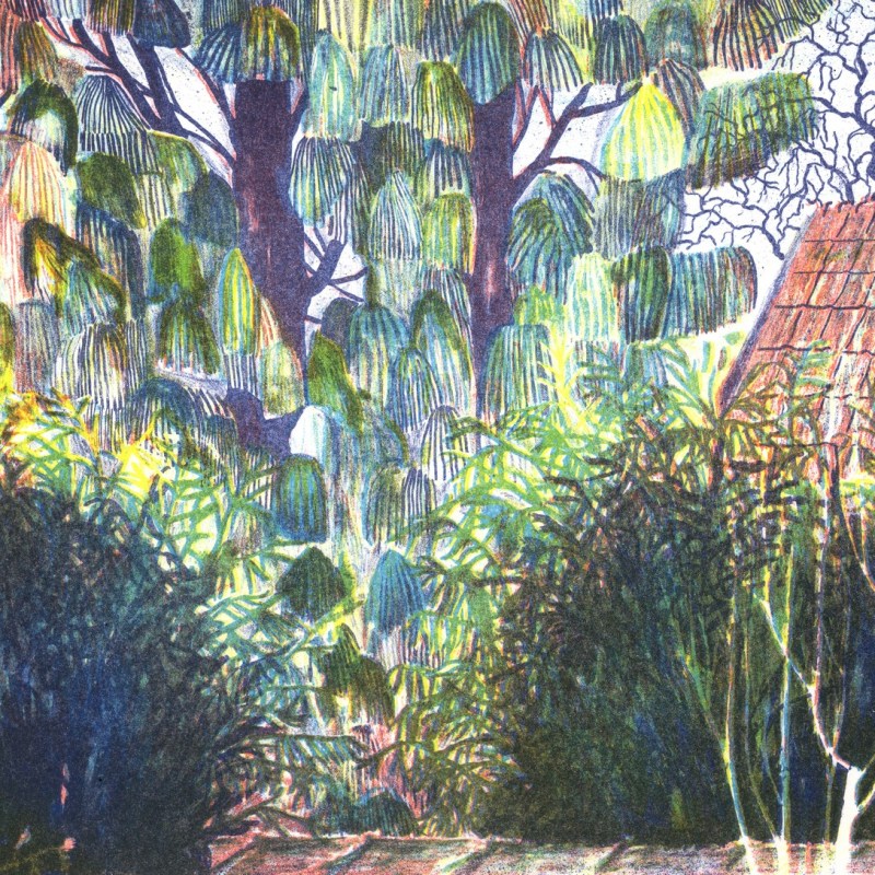 Quadrichromie du jardin